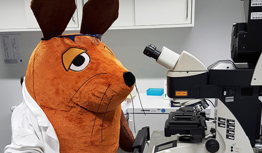 Die Maus sitzt im Laborkittel vor einem Mikroskop.