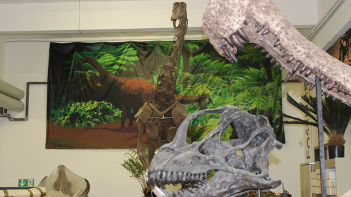 Dinosaurier-Werkstatt