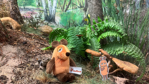 Bildrechte: WDR Hamburg Naturschutzgebiet