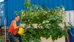 Birgit Haas gießt ein Hochbeet im Gemeinschaftsgarten „Inselgrün“.