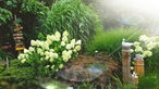 Ein geschmückter Garten mit einem weißen Hortensienstrauch.