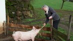 Brigitte Müllerleile füttert ein Schwein.