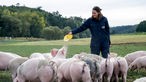 Kathi Mühlbauer auf der Weide mit Schweinen. 