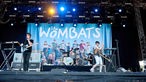 Wombats auf der Bühne