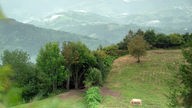 Hügelige Wald-Wiesen-Landschaft, durch die der Camino del Norte führt. Pilger sollten eine Regenjacke nicht vergessen, denn der Txirimiri, der typische feine Regen, ist der Grund, warum das Baskenland so satt grün ist.
