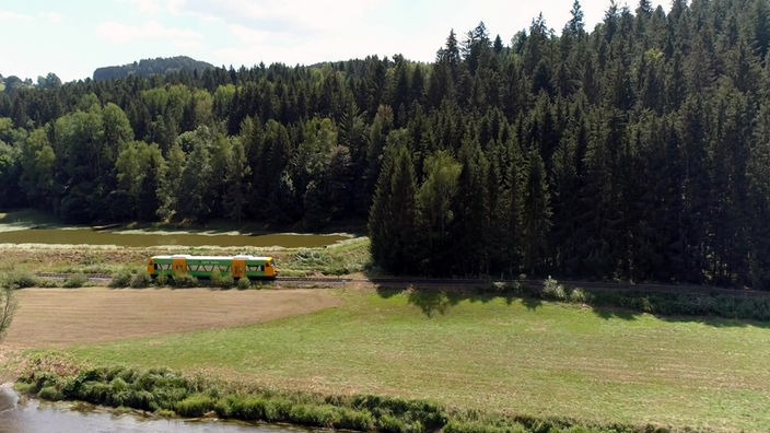 Waldbahn auf eingleisiger Strecke durch Wald-Wiesen-Landschaft