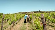 Weinanbau charakterisiert die Region um Nea Gonia nordöstlich der Halbinsel Kassandra. Judith Rakers steht mit einem Weinbauern vor einem Weinstock.