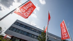 Verstöße gegen Mindestlohn: Nachzahlung für den FC Bayern - Ermittlungen gegen weitere Klubs