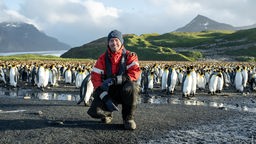 Ausschnitt aus dem Film "The Return to Antarctica". Pinguine am Südpol